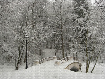 Kaz_Creations Deco Christmas Winter  Backgrounds Background - png gratis