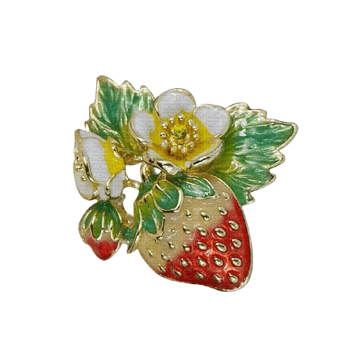 Strawberry Jewelry - Bogusia - δωρεάν png
