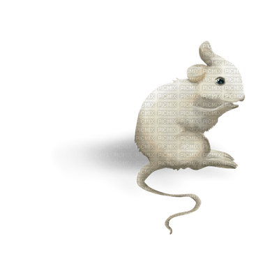 Kaz_Creations Mouse - бесплатно png