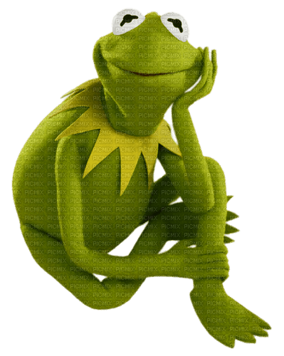 grenouille - фрее пнг