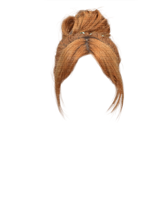 perruque - png grátis