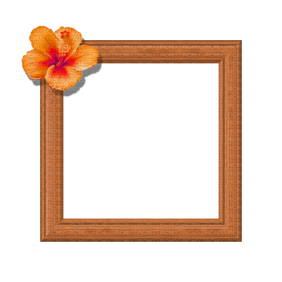 Small Orange Frame - png ฟรี