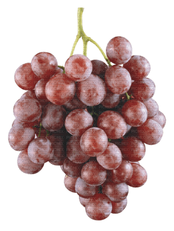 виноград - png grátis