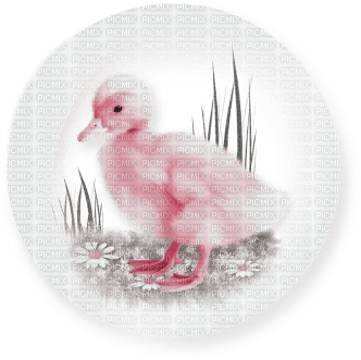 soave deco   easter chick bubble grass flowers - gratis png