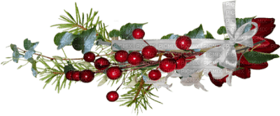 minou-christmas-winter-decoration - PNG gratuit