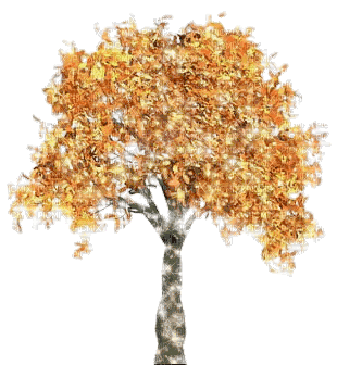 autumn tree - GIF animasi gratis