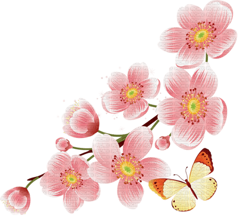 Sakura fleur rose pink flower nature - bezmaksas png