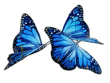 ✶ Butterflies {by Merishy} ✶ - PNG gratuit