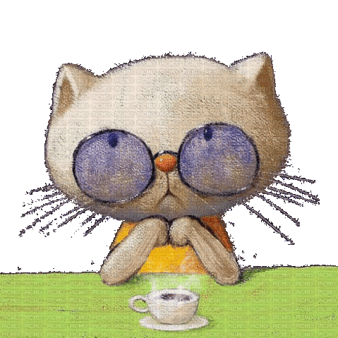 cat coffee - Animovaný GIF zadarmo