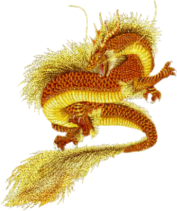 dragon feu - GIF animado grátis