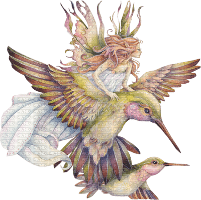 hummingbird - Free PNG