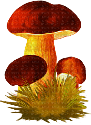 Kaz_Creations Mushrooms Toadstools - png gratis