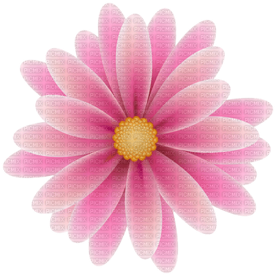 Kaz_Creations Flowers Deco Flower Colours