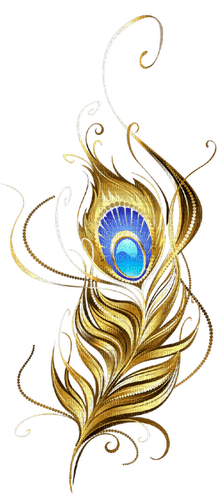 feather Bb2 - zdarma png