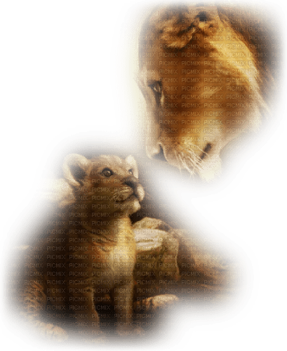 loly33 lion - Free PNG