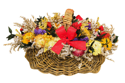 autumn, syksy, flower, kukka, fleur - PNG gratuit