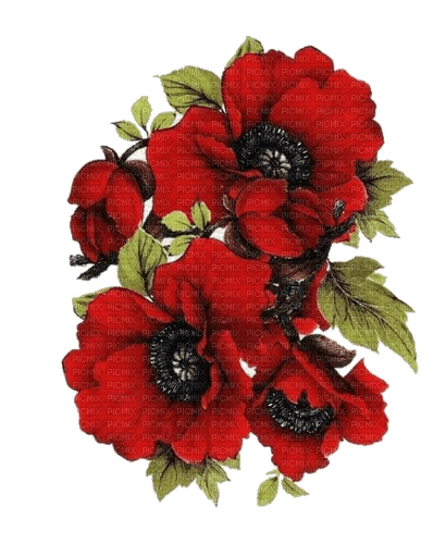 blommor-flowers-red--röd - бесплатно png