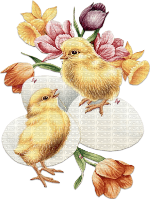 soave deco easter chick eggs  pink yellow purple - 無料png