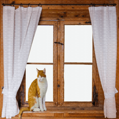 window fenster fenêtre fenetre room raum chambre zimmer tube wood brown deco cat - 免费PNG