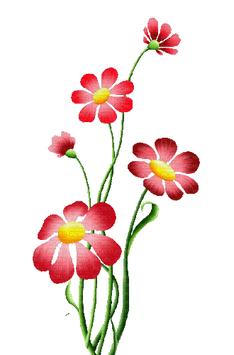 Flores - Animovaný GIF zadarmo