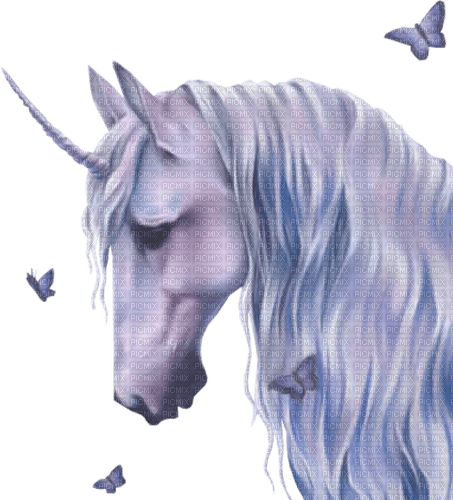 Einhorn unicorn - png gratis