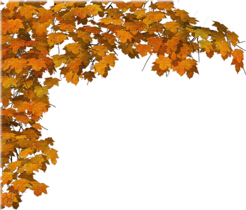 loly33 feuilles automne - PNG gratuit
