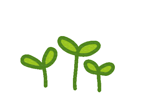 Flower Plants - Zdarma animovaný GIF