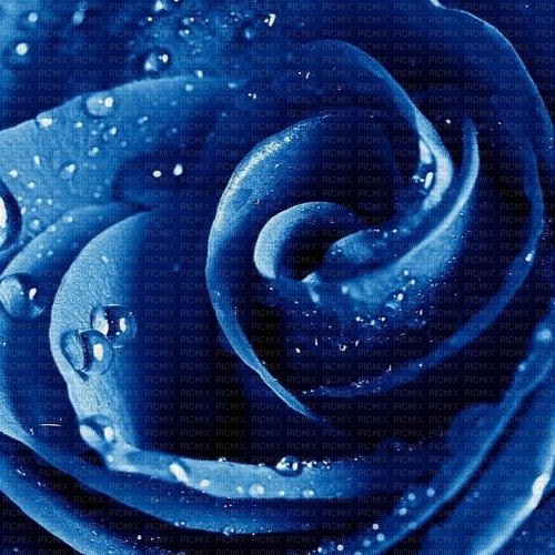Royal Blue Rose - безплатен png