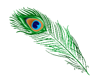 soave deco peacock feathers animated blue - GIF animé gratuit