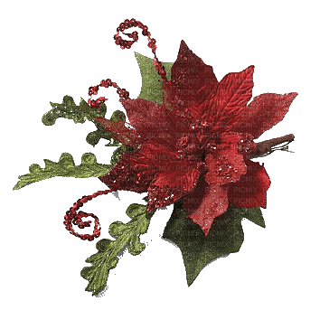 Noël.Fleur.Red.Christmas.Flower.Victoriabea - Free PNG