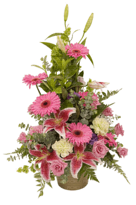 Kaz_Creations Deco Flowers Flower  Colours Plant - nemokama png