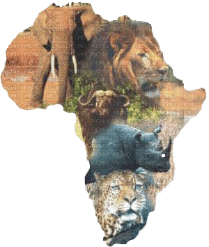 Africa map bp - 免费动画 GIF