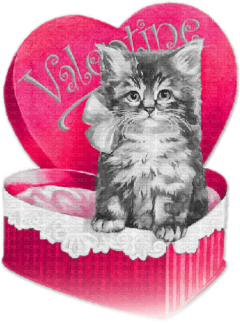 soave  vintage cat valentine deco box text gift - Free PNG