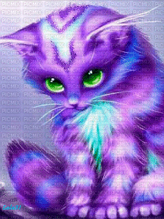 cats bp - GIF animate gratis