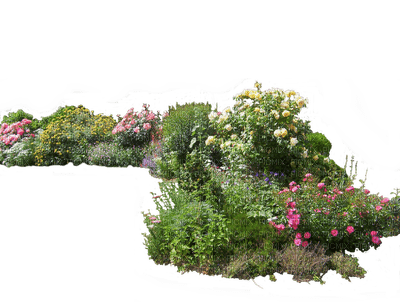 garden plants bp - 免费PNG