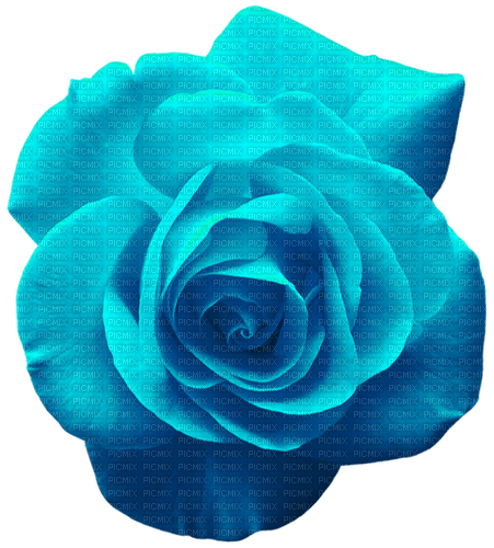 Rose.Blue - zdarma png