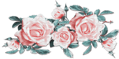soave deco flowers spring branch rose - бесплатно png