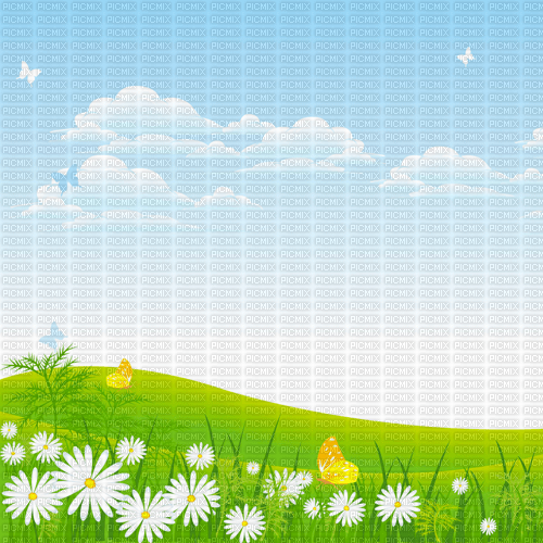 Y.A.M._Summer background flowers - png ฟรี