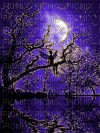 fairy moon - Безплатен анимиран GIF