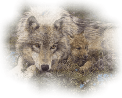 wolf with cub bp - png grátis