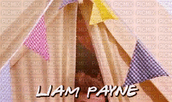 Liam Payne - Zdarma animovaný GIF