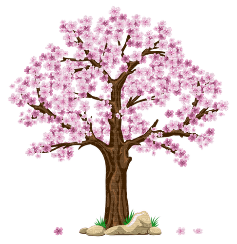 Cherry Tree - png grátis