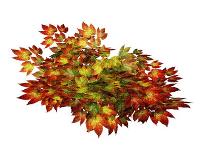 autumn katrin - kostenlos png