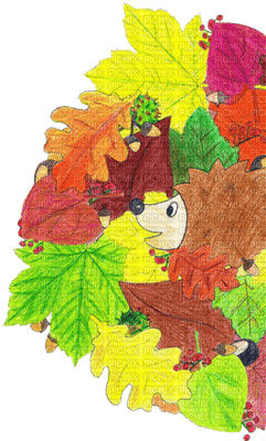 leaves laub feuilles - 免费PNG
