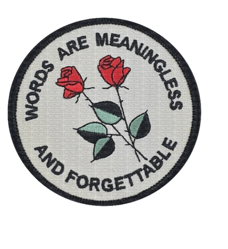 ✶ Words are Meaningless {by Merishy} ✶ - png gratis