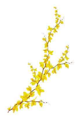 soave deco branch flowers  spring animated yellow - GIF animate gratis