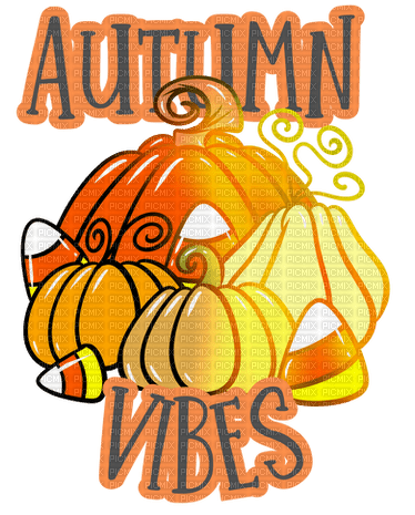 Autumn Vibes Pumpkin Text - - Bogusia - darmowe png