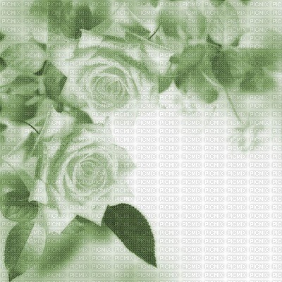 Kaz_Creations Backgrounds Background Flowers - 無料png