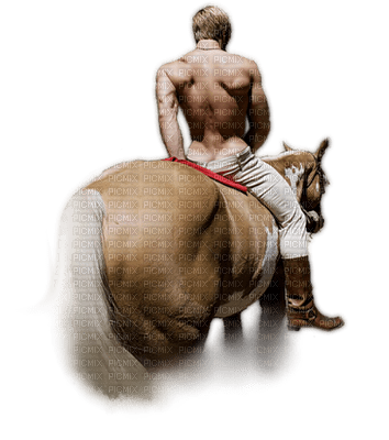 homme et cheval ** - zadarmo png