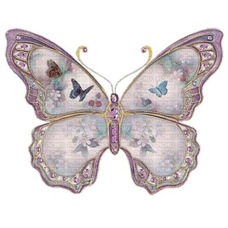 Butterflies - GIF animé gratuit